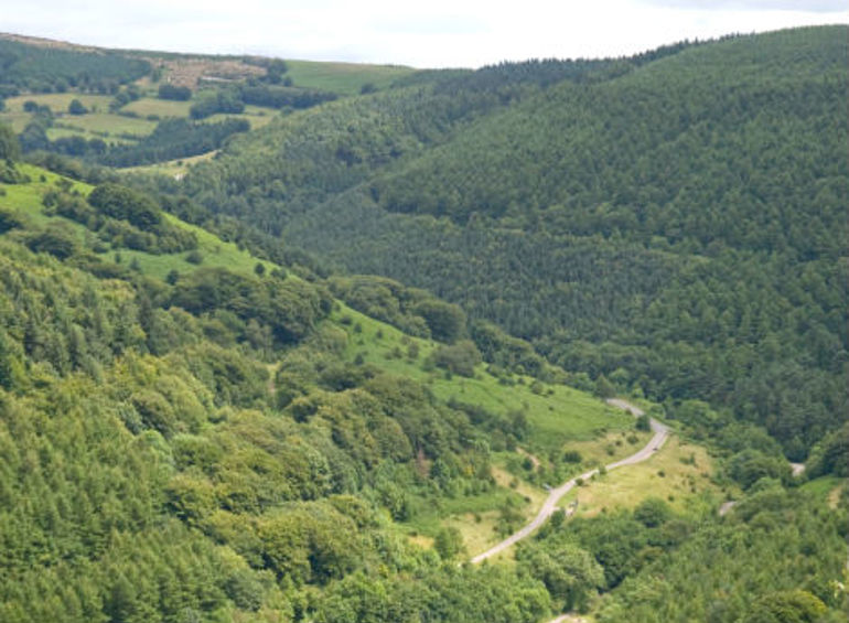 Cwmcarn forest