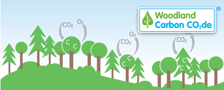 The UK Woodland Carbon Code
