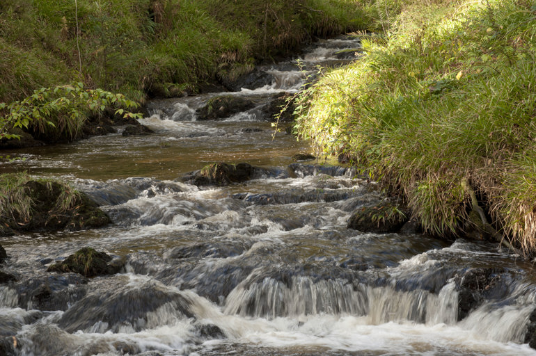 View of a stream View of a stream