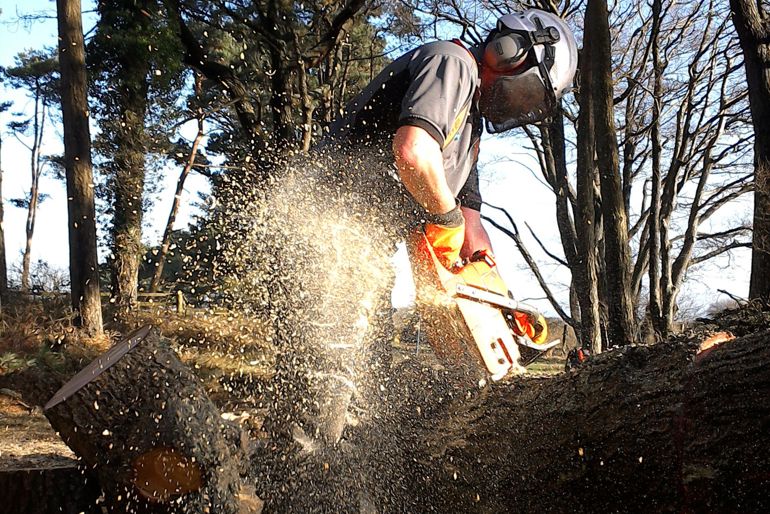Man cutting a log