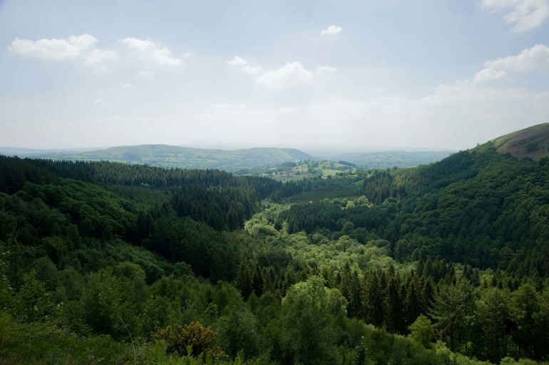Cwm Rhaeadr Forest towards Mynydd Du in the Brecon Beacons