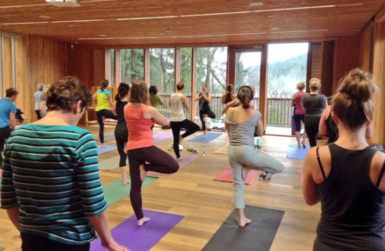 People participating in a yoga class