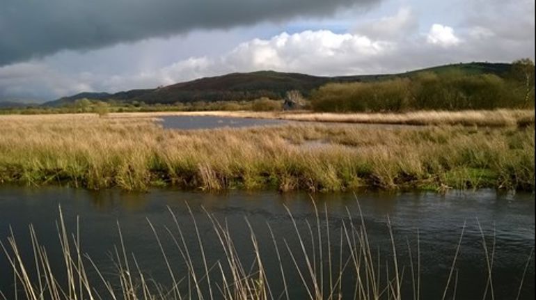 View of a field in Cors Caron
