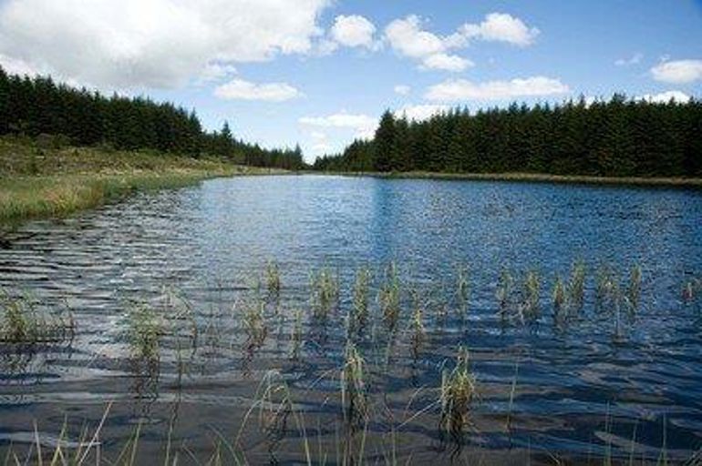 View of the river basin