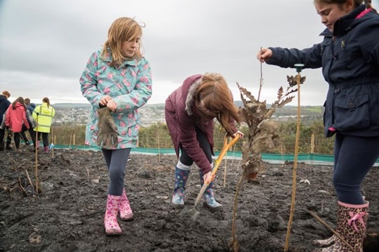 Children planting stakes to support tree saplings