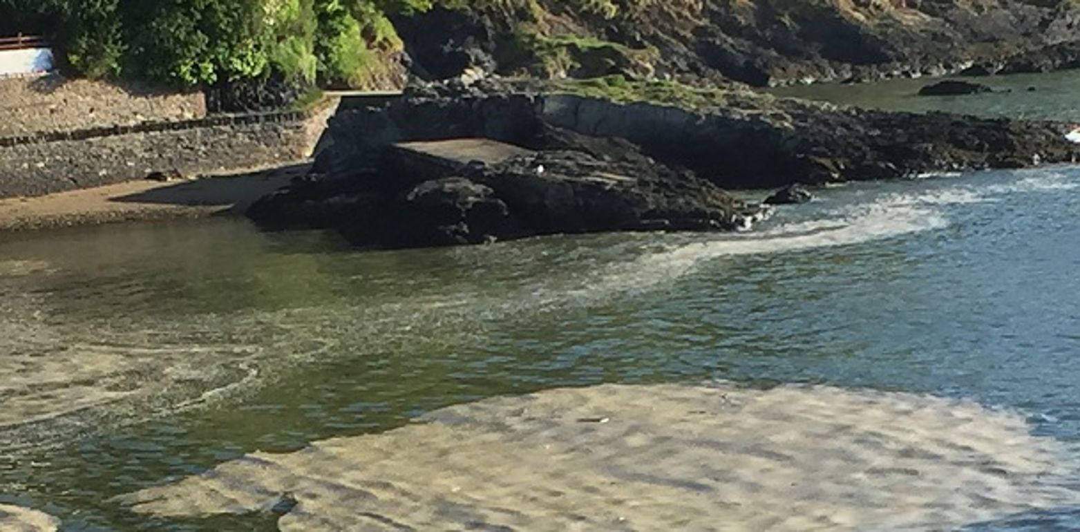 River containing rocks and algae in the water