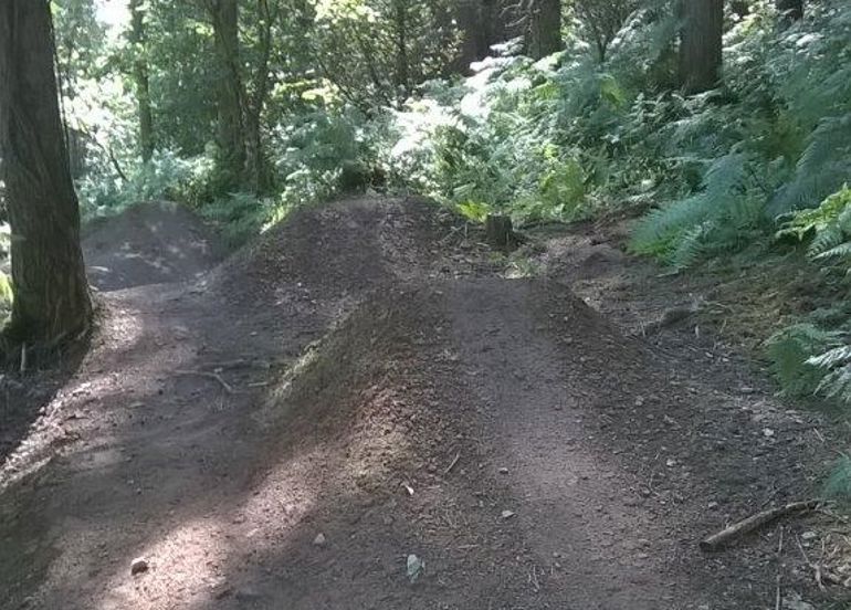 Photo showing mound of soil on a forest trail to create a jump for mountain biking