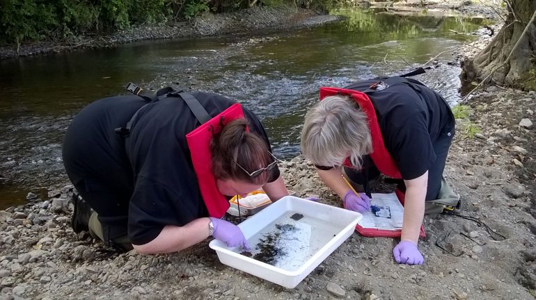 2 ladies examine a sample of water in a tray at the side of the river bank following a pollution incident