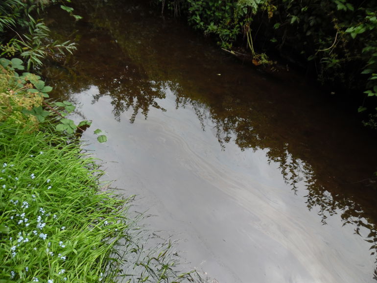 Pollution in a river
