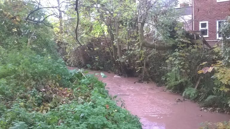 silt pollution in Wepre Brook