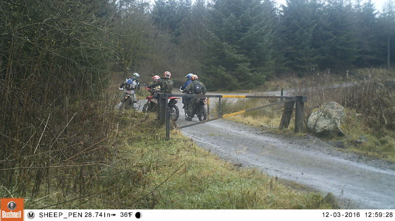 201 sheep pen gang of 5 road legal bikes