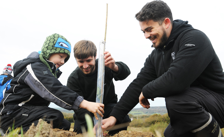 Plant apprentices