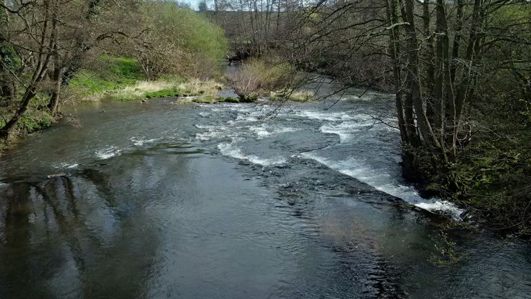 River Honddu with slurry pollution