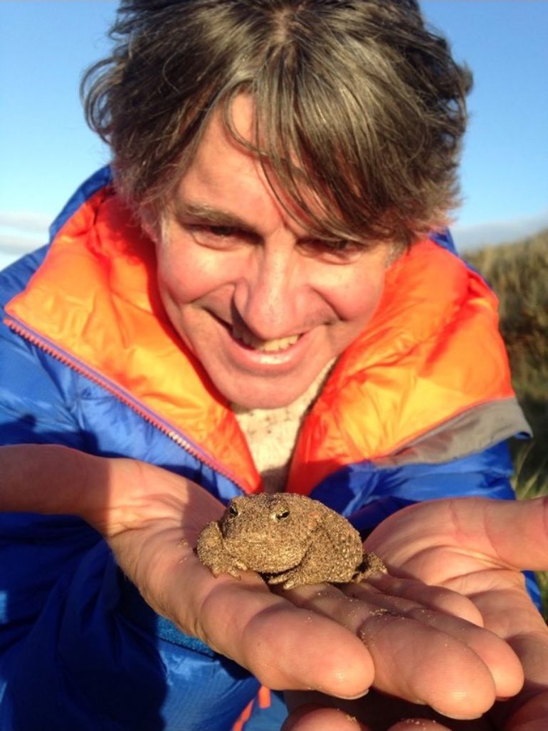 cyflwynydd Springwatch Martin Hughes-Games efo un o'r llyffantod prin