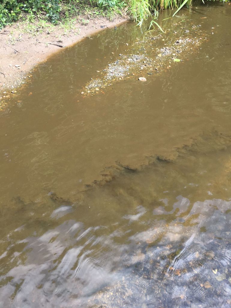 Slurry pollution n the Afon Bach and River Clwyd