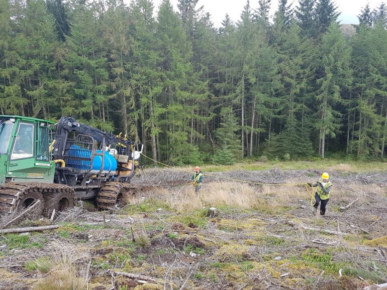 NRW staff spraying microscopic worms known as Nematodes into and around conifer tree stumps
