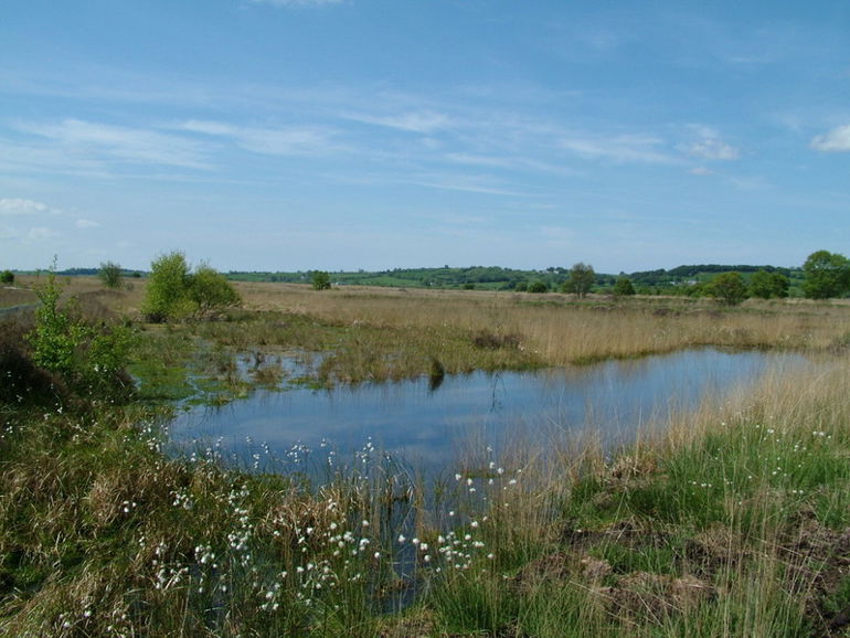 Cors Caron raised bog filled with water