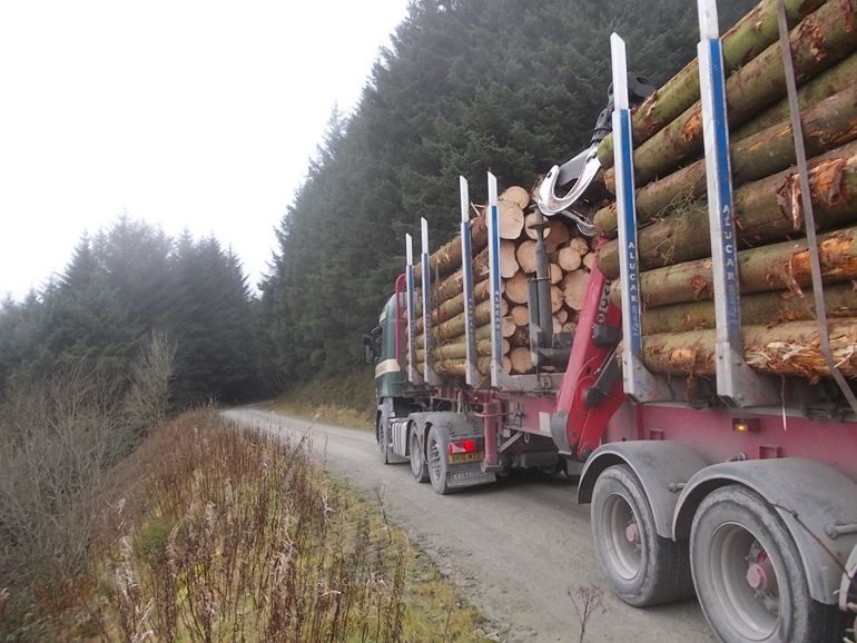 Lorry transporting timber on the A483 trunk road
