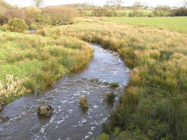 Slurry pollution incident at the river Afon Gwna