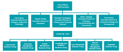 Our Executive structure