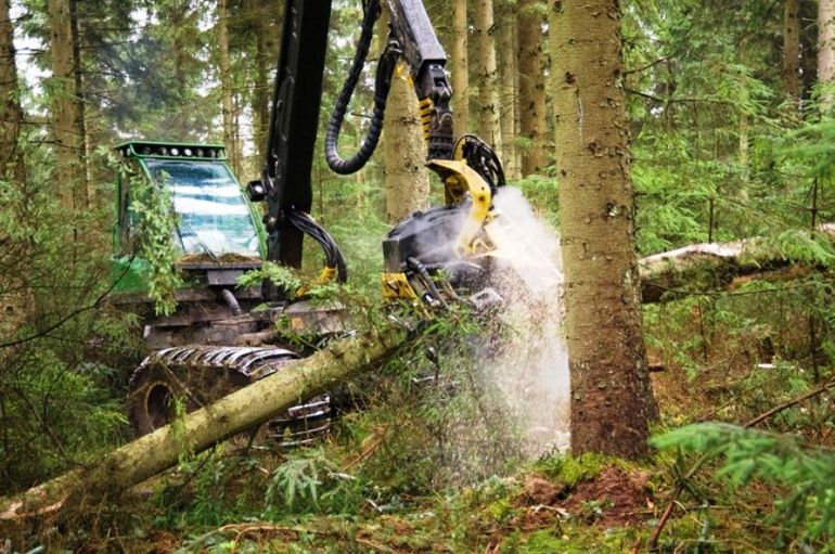 Machinery harvesting wood
