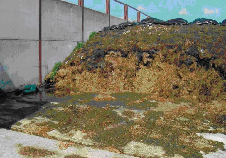Silage storage