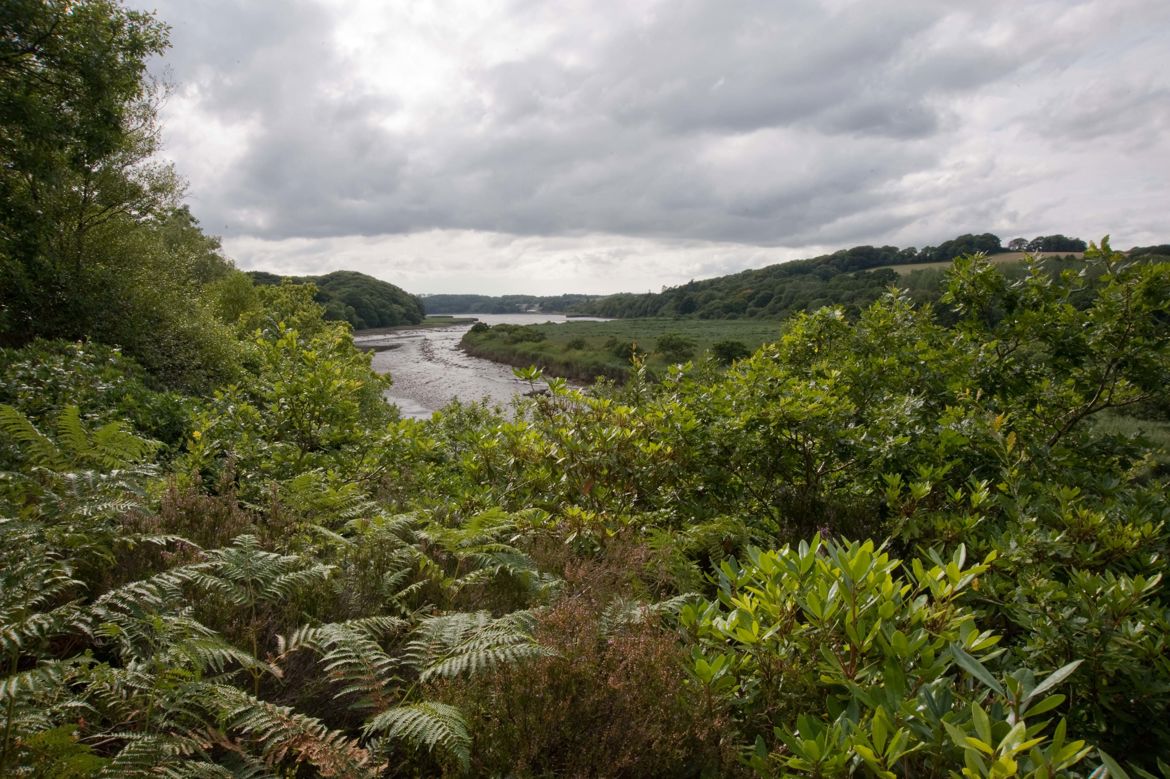 Natural Resources Wales / Crymlyn Bog National Nature Reserve, near Swansea