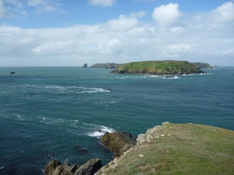 Skomer Marine Reserve picture