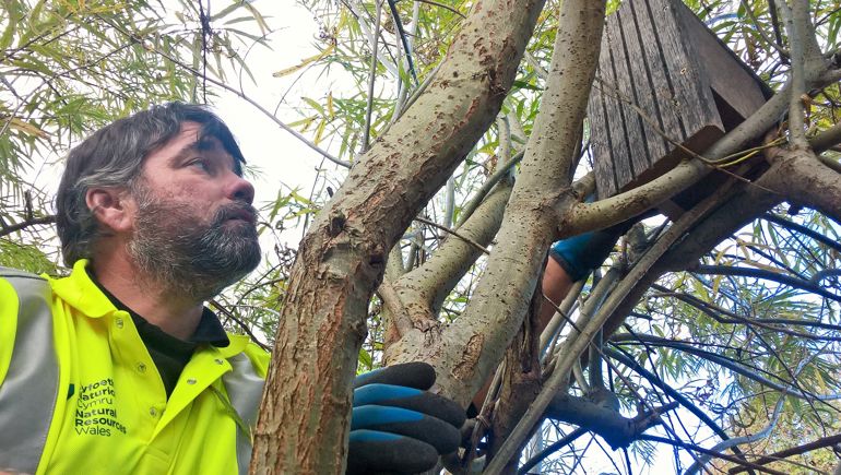 NRW staff member constructing bird box