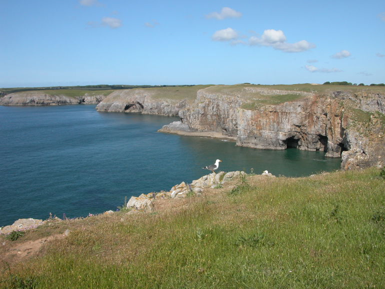 View of Stackpole Coast between Mowingoword Saddle Point