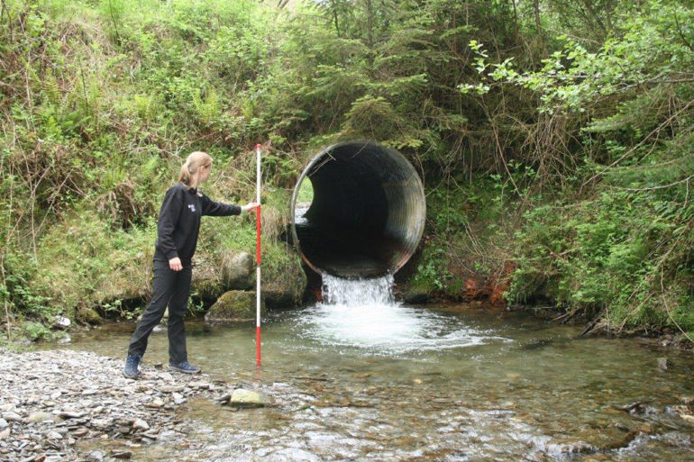 NRW staff member inspecting the water