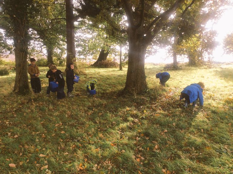 Group of children collecting acorns
