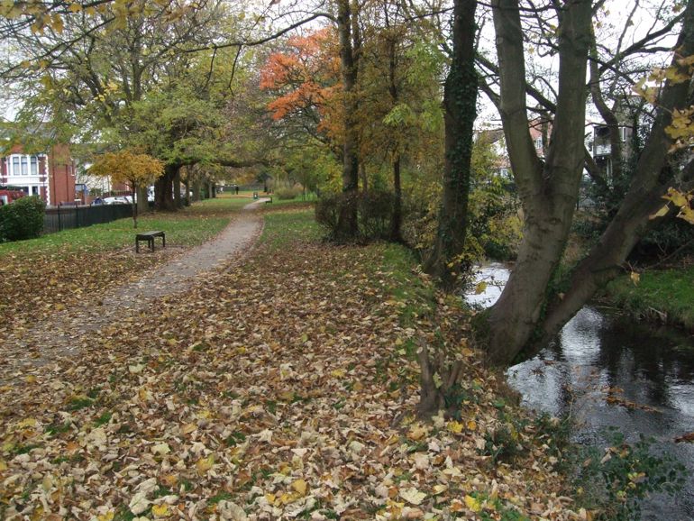Golygfa o Nant Lleucu yn yr hydref gyda coed yn gordo lan yr afon a llwybr i'r chwith yn rhedeg trwy'r parc