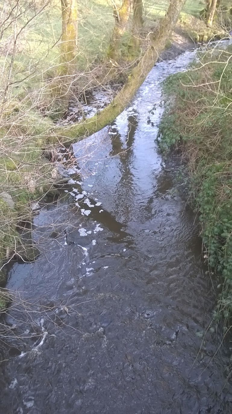 Slurry pollution in Nant Bran, near Lampeter, Ceredigion
