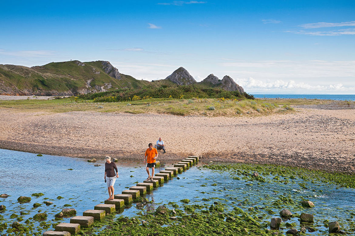 Dog Walking Routes Swansea Dog Walking Routes Swansea