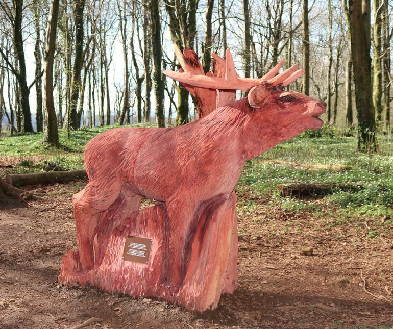 Red deer Fforest Fawr