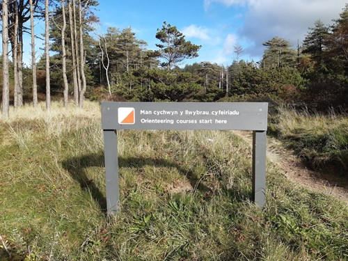 Natural Resources Wales / Newborough National Nature Reserve and Forest ...