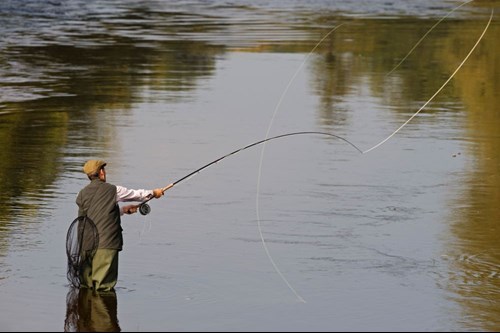 a salmon fisherman casting on river