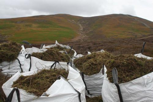 Locally harvested heather