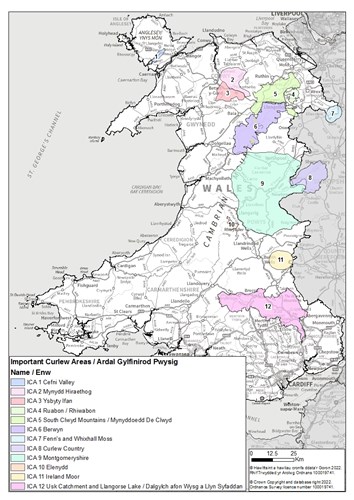 Map of Important Curlew Areas in Wales